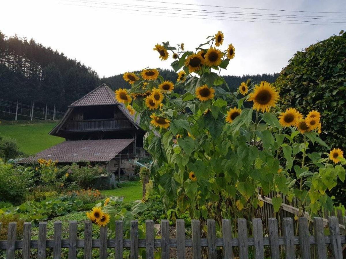 Hotel Walkenstein Oberwolfach Exterior photo